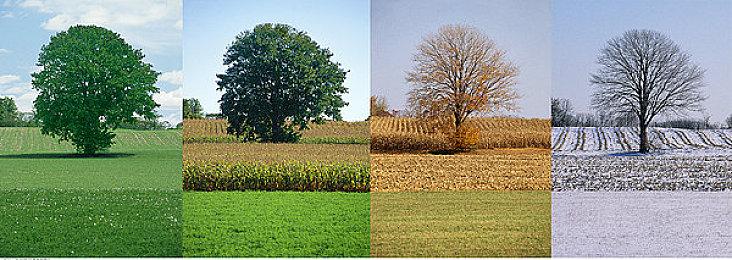 小心哭泣天使！《神秘博士: 孤独的暗杀者》8月12日登陆主机端