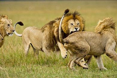 太空背景恐怖FPS《量子误差》新预告片公布